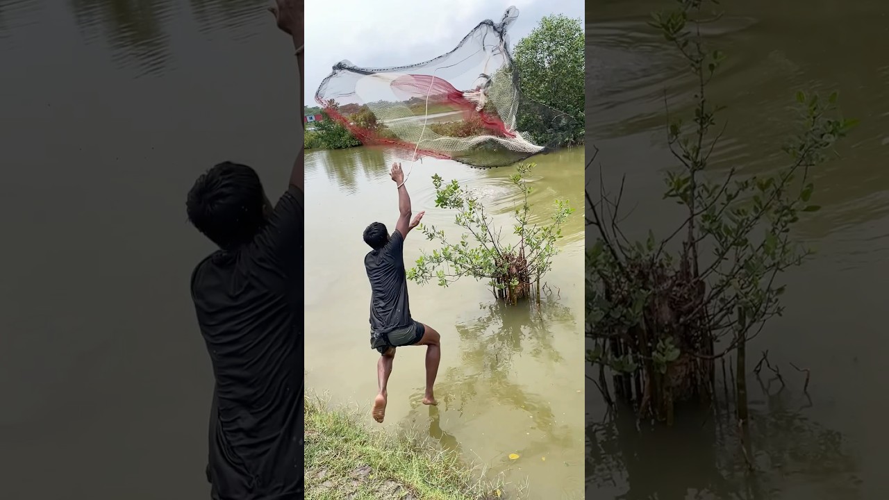 #fishing #riverfishing #villagelife #viral