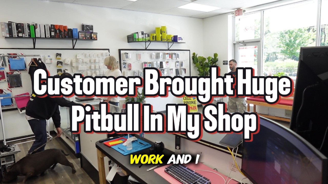 Customer Brought Huge Pitbull In My Shop...!