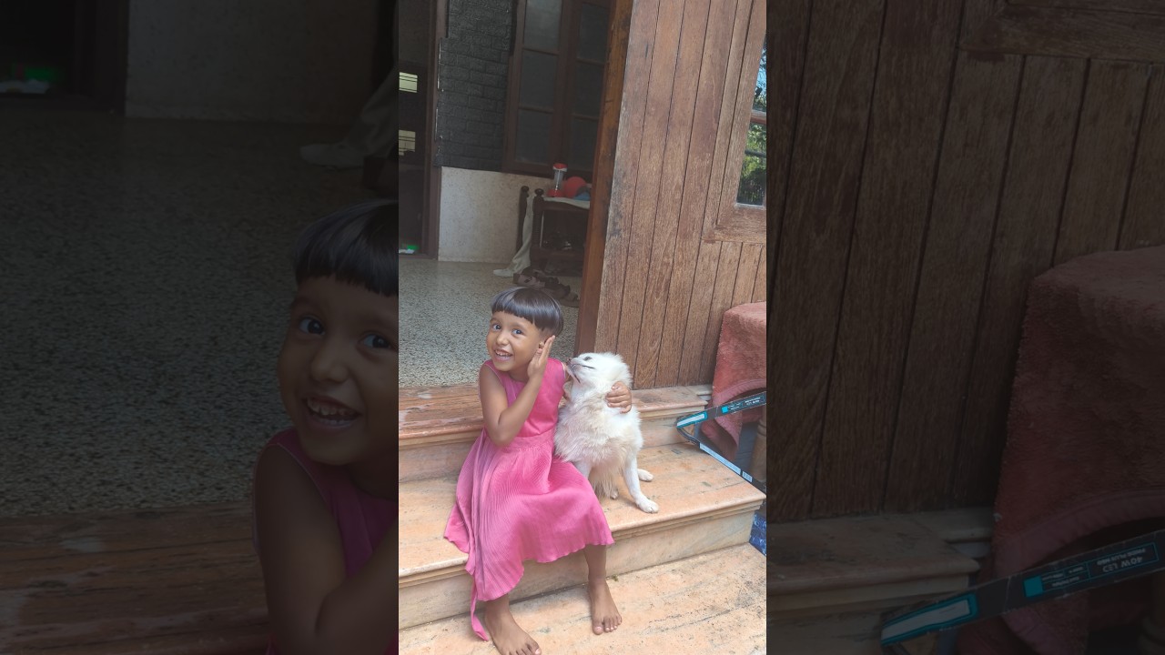 best friends 😂#doglove #doglife #doggielife #child#youtubeshorts
