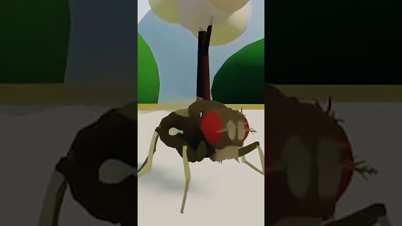 Los científicos colocaron una mosca en la simulación.
