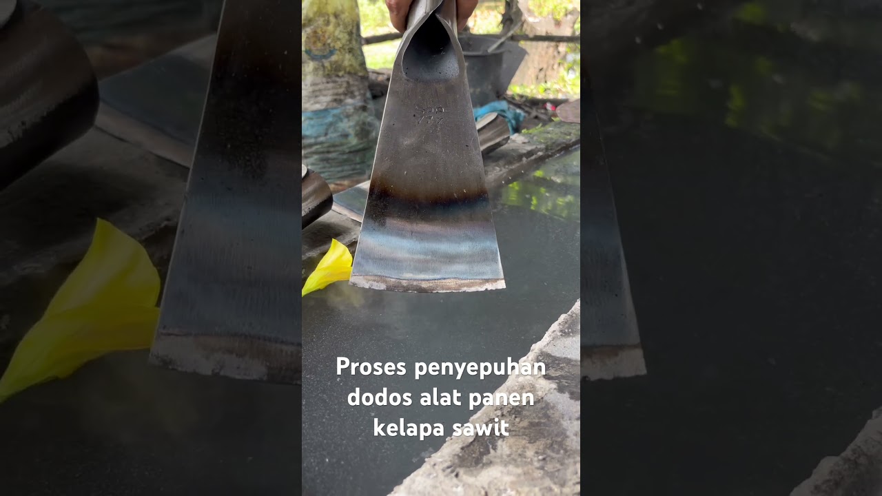 The process of gilding dodos palm oil harvesting equipment #blacksmit #woodworking #blacksumatra