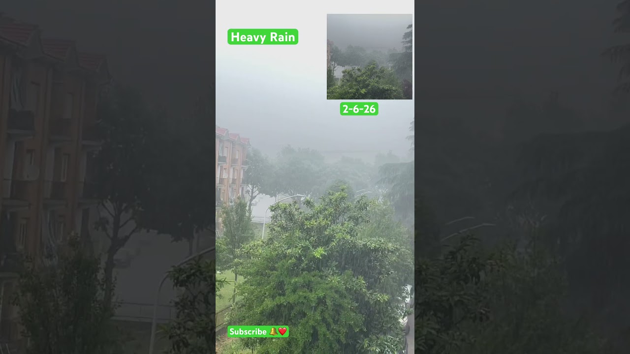 Beautiful Rainy Day#weather #nature #rain #greenscreen