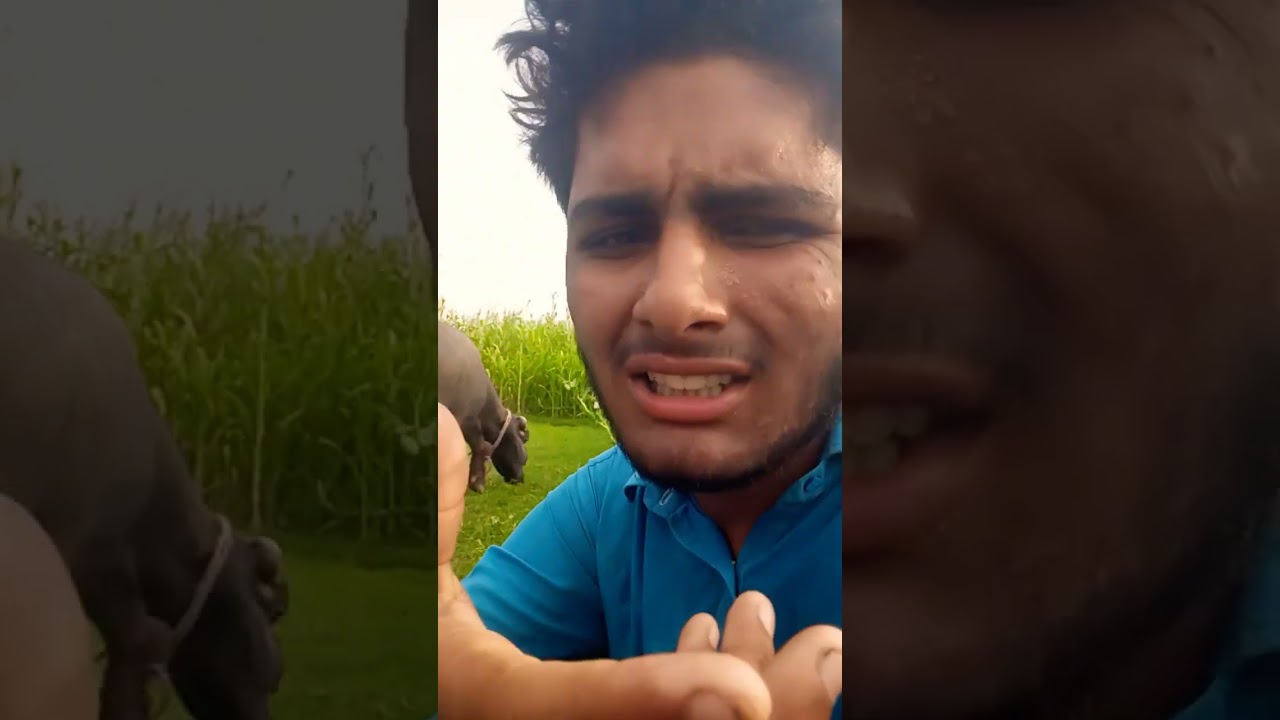 business ka Maja video call like Karen