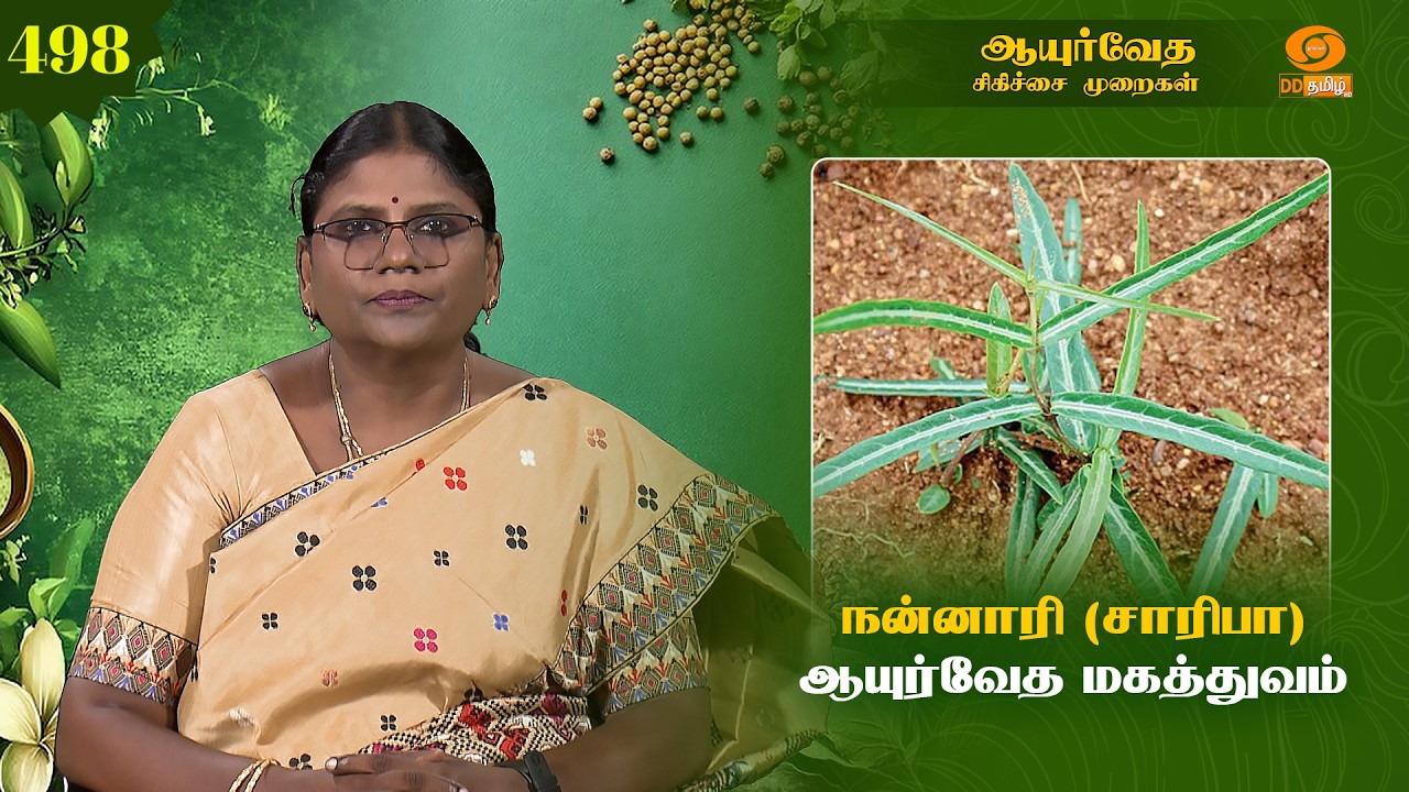 Ayurveda Treatment | நன்னாரி (சாரிபா) ஆயுர்வேத மகத்துவம் @DDTamilOfficial​