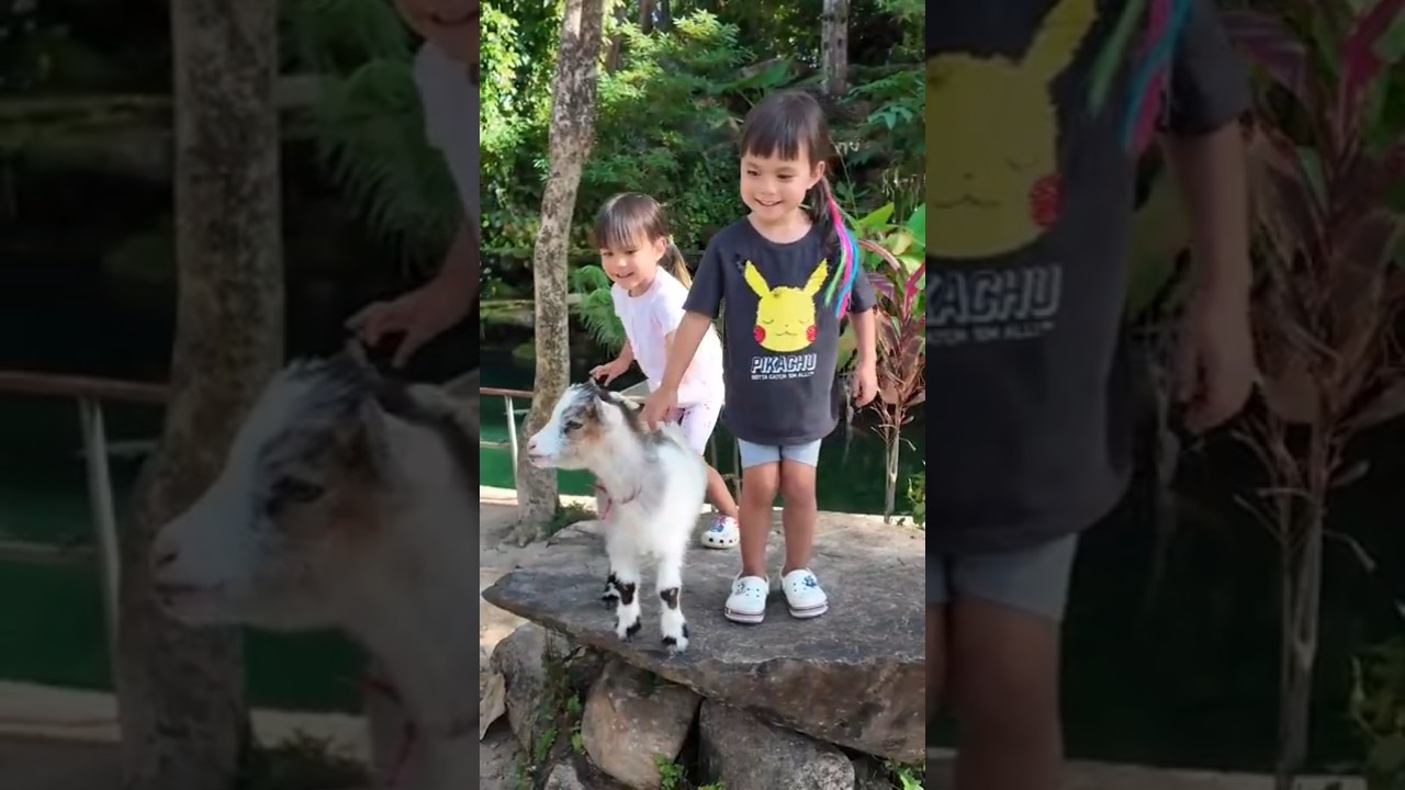 Yasmin and Leysan Feed Cute Baby Goats