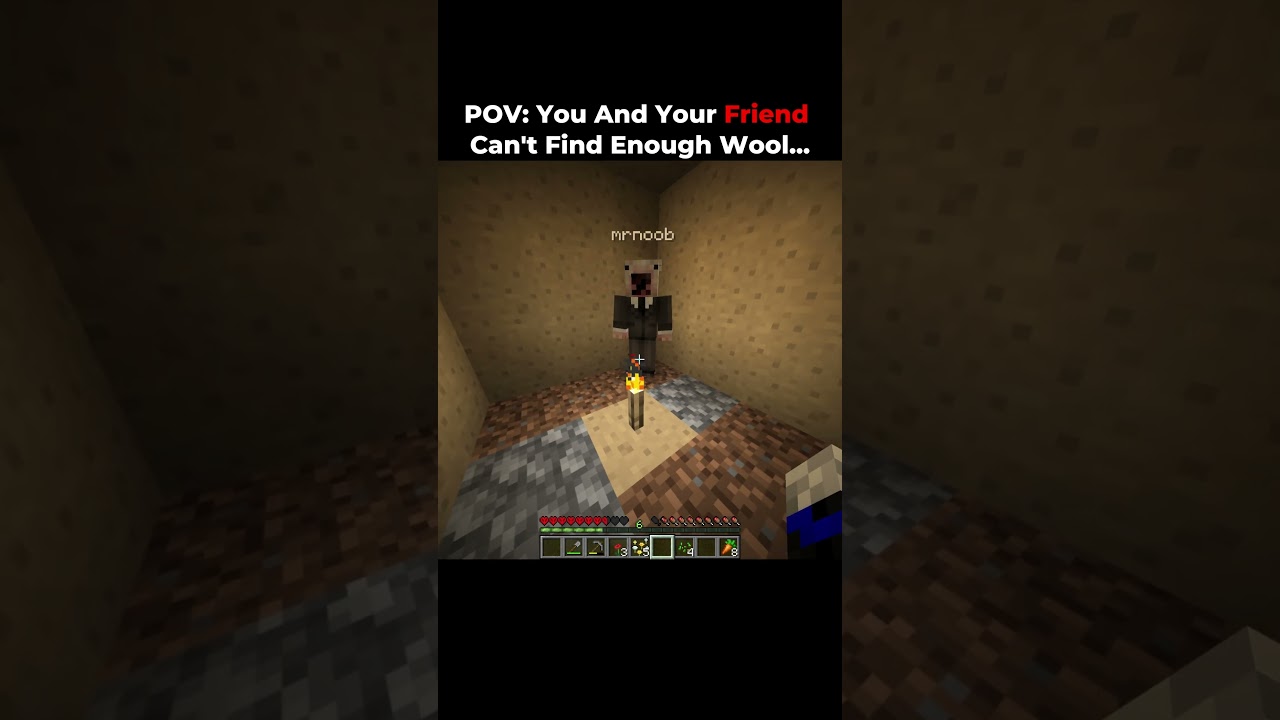 POV: You And Your Friend Can't Find Enough Wool... #minecraft