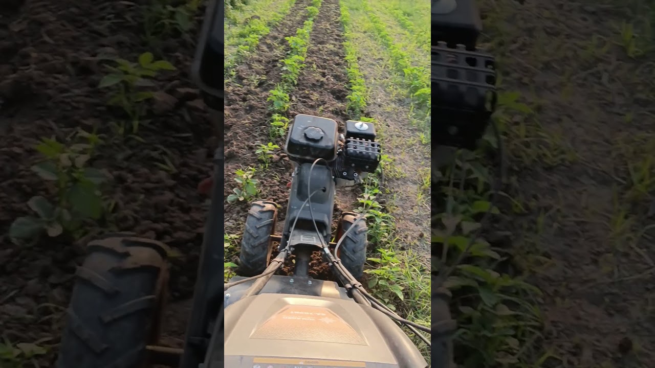 padhi likhi shera me #farming #modernfarmer #minivlog #nature #villagelife #automobile #comedy