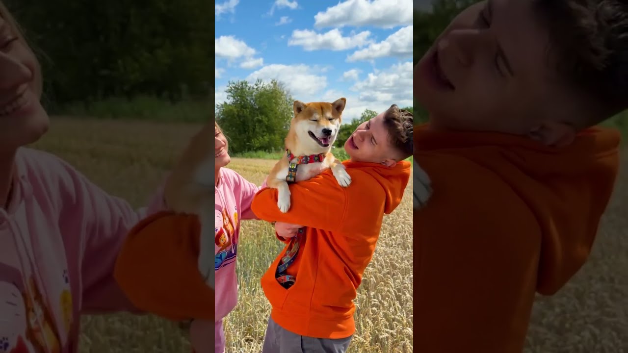 SHIBA JEST SZCZĘŚLIWY😃