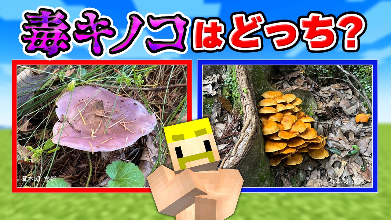 絶対に食べてはいけない毒キノコはどっち！？【マイクラ】