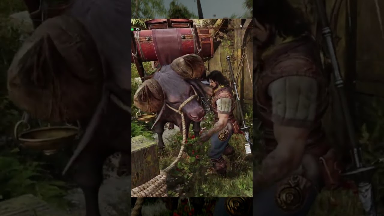 Petting the Ox - Acariciando al Buey - BLADES OF FIRE