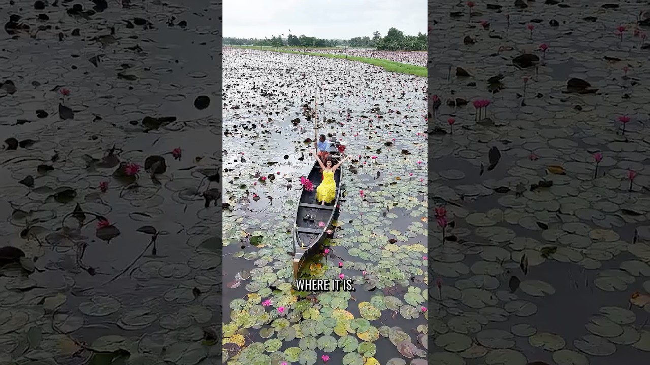 India’s Most Beautiful Hidden Flower Lake?