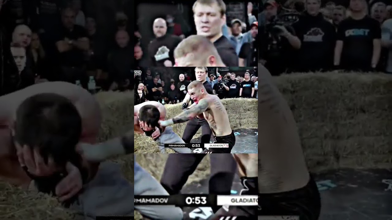 🔥🔥🔥 || MMA-Boxing #shorts #fight #mma #ufc #combat