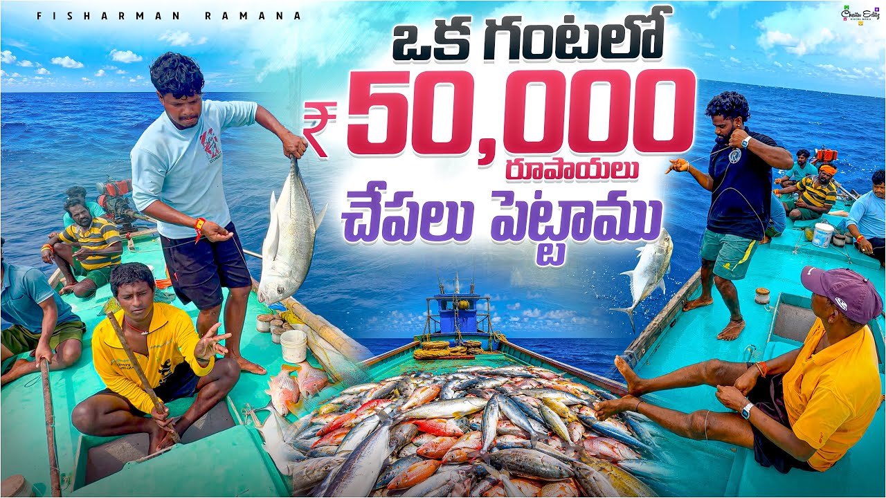 #fish #Fisherman #🌊🌫️ #beachfishing #fishing #fishingmethods #fishingtechniques #fishing #crab #sea 