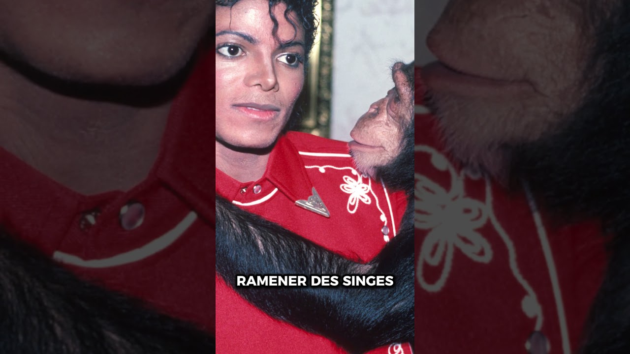 lama super méchant #biopic #histoire #michaeljackson #freddiemercury