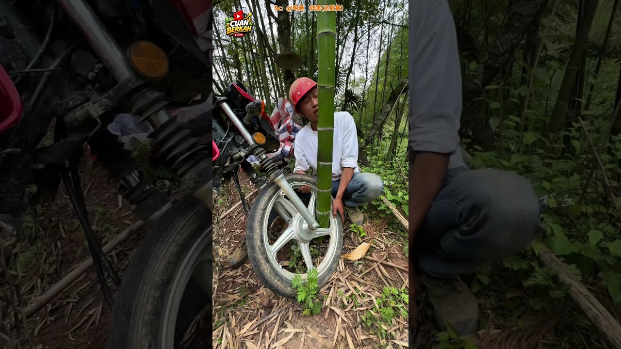 Motor ditinggal di hutan 67 hari, pulangnya malah tumbuh bambu!