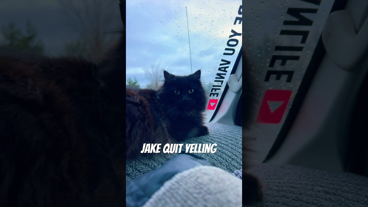 Why does he always yell?