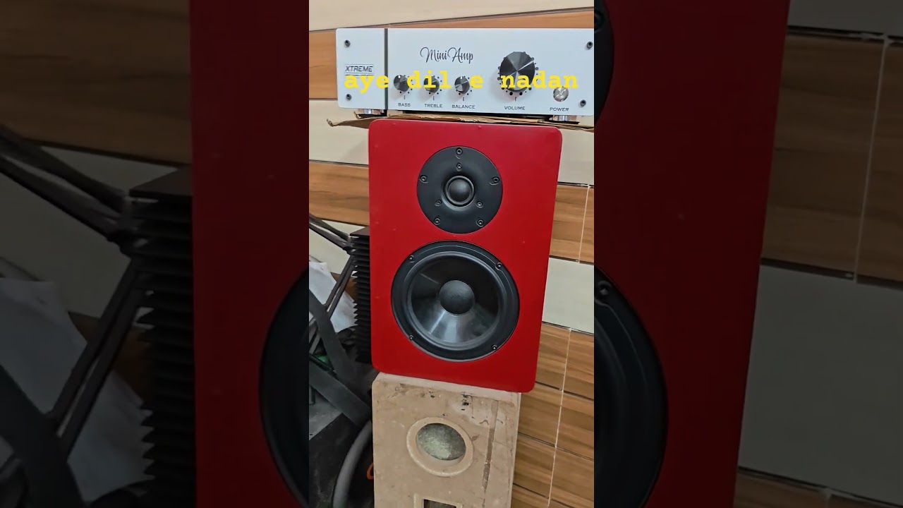 Is Amplifier ko kya name du ? #hifi
