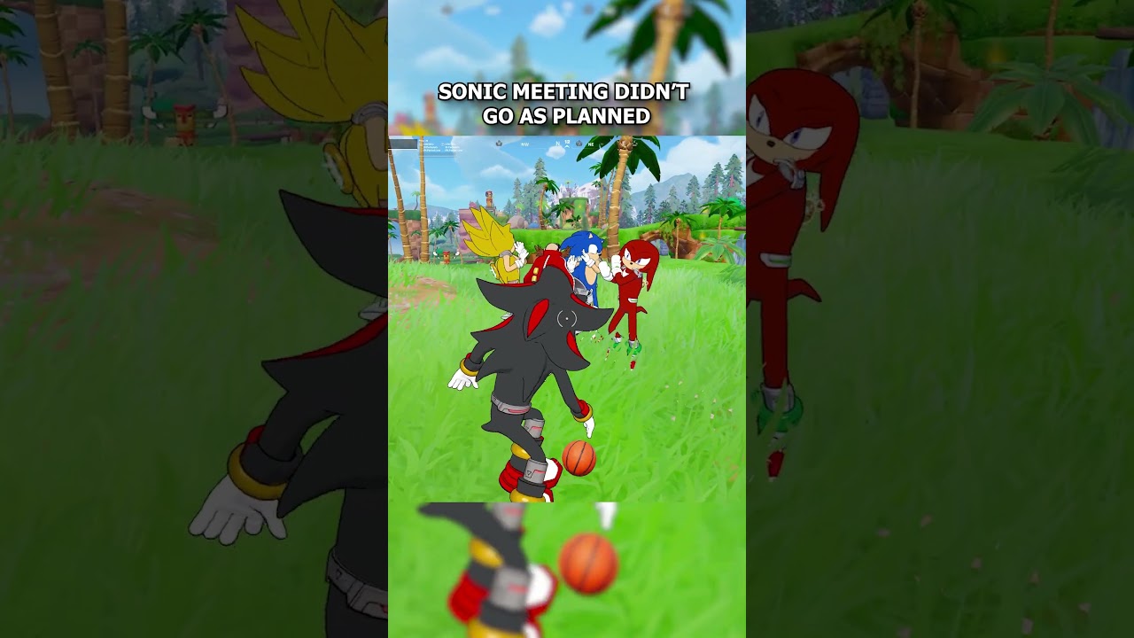 SONIC MEETING DIDN’T GO AS PLANNED