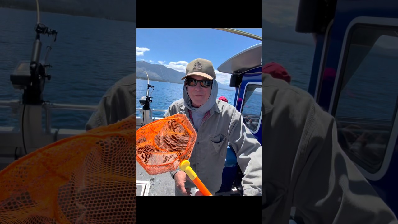 I told him he didn’t have one, he didn’t believe me. #fishing #laketahoe #laketrout