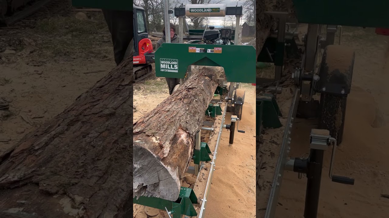 Can you guess what species off wood this log is? #sawmill #satisfying