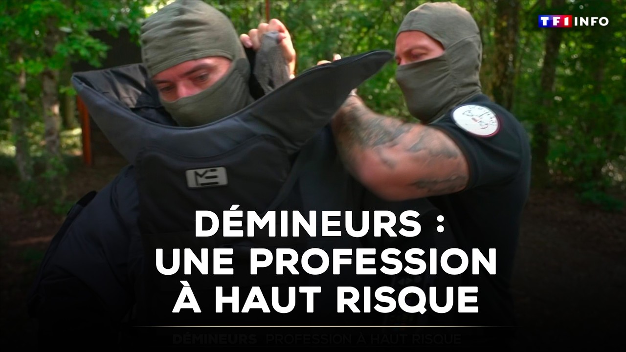 Démineurs : une profession à haut risque｜TF1 INFO