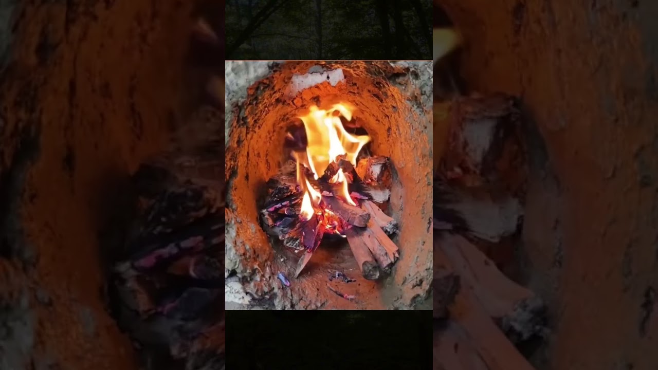 Tree Hollow Survival Shelter, Staying Safe Alone inthe Forest #wildlife #survival #camping #outdoors