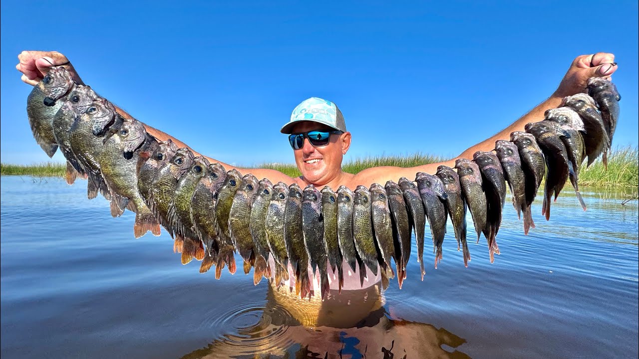 Wade Fishing a Dangerous Lake for Giant Bluegill's ( Catch Clean & Cook)