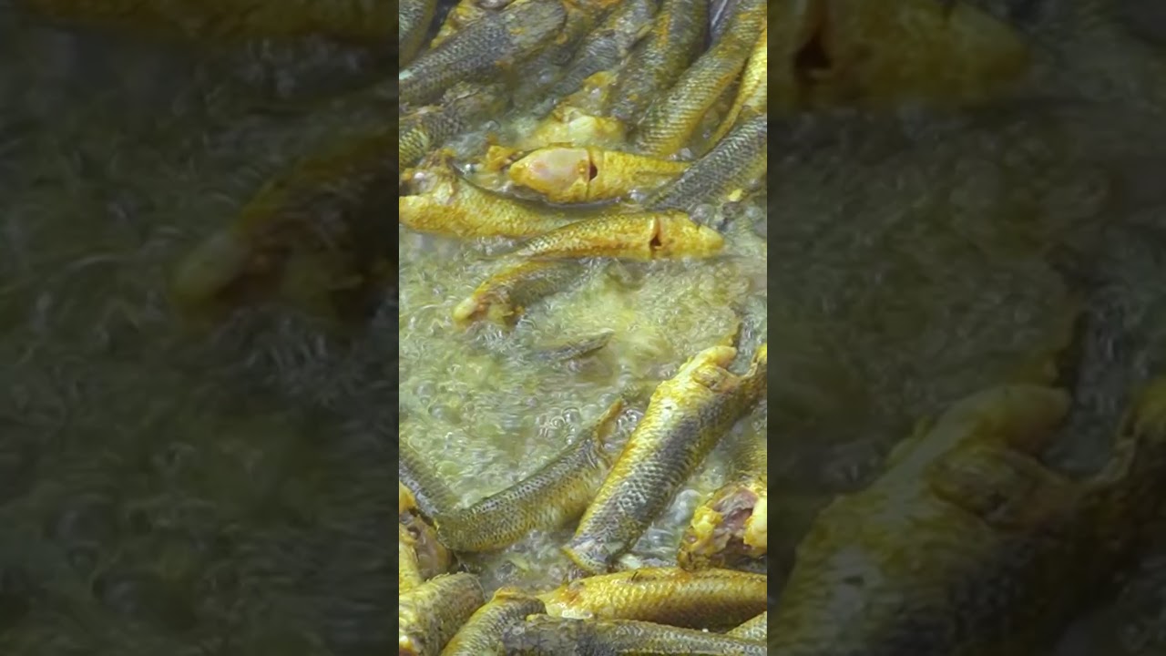 Masala Mixing with Snakehead Fish & Frying #aroundmebd #fishfry #takifish #youtubevillage #cooking