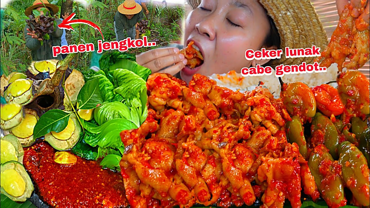 PETIK JENGKOL ,MASAK CEKER LUNAK CABE GENDOT PEDAS 🤤🥵🔥‼️