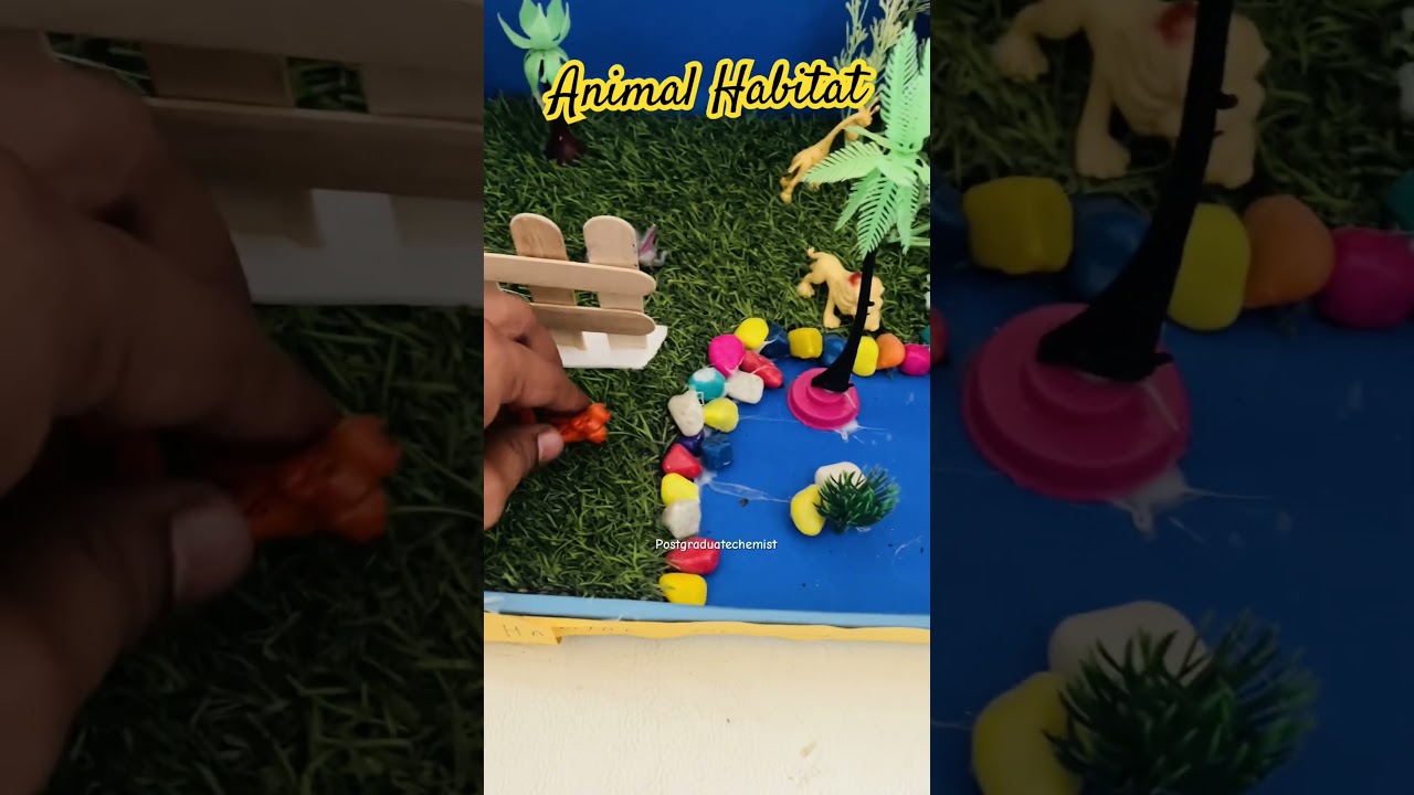 3D model for kids Animal Habitat #anubhavsir  #animalhabitat #postgraduatechemist #SummerOfGoals