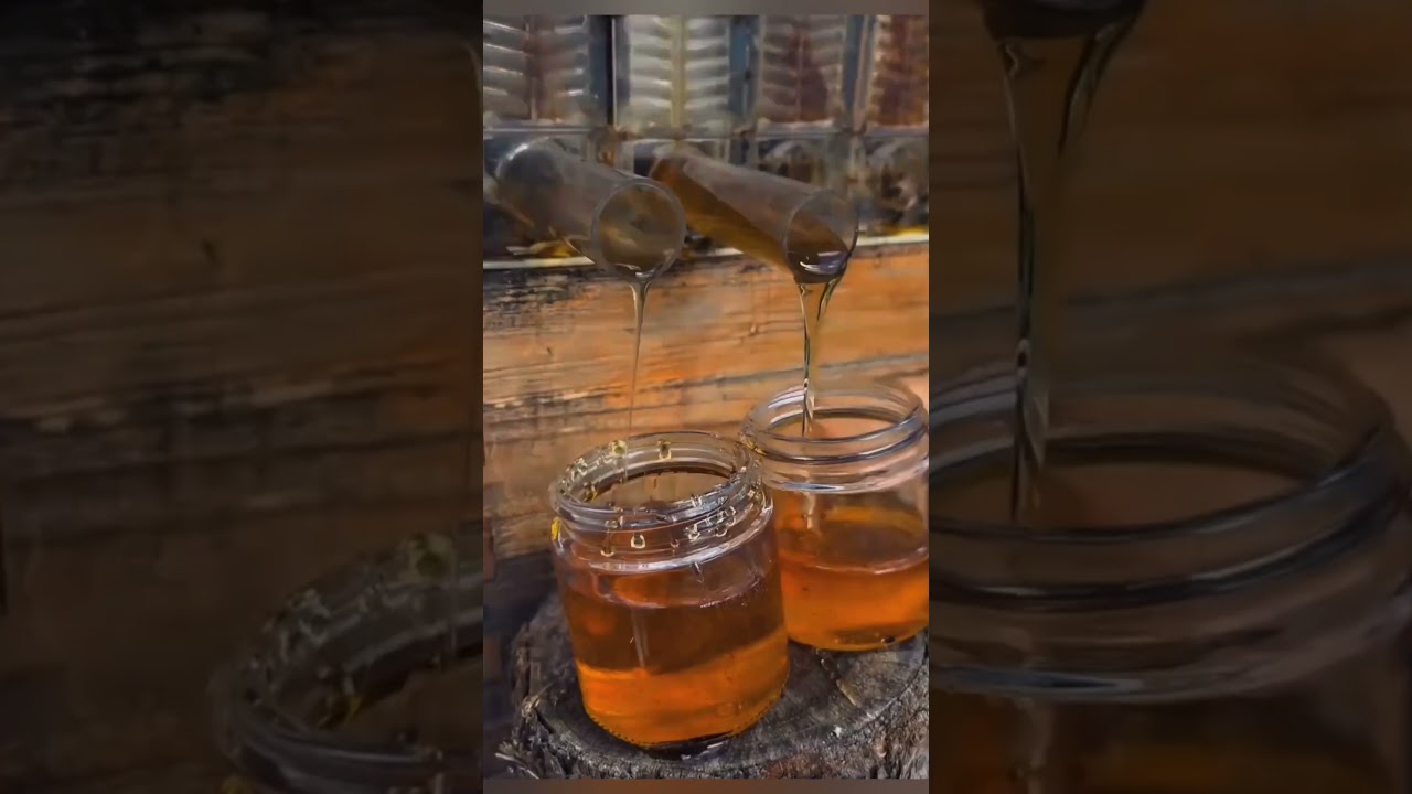 benifit of honey ...#facts #youtubeshorts #trending #amazingfacts #viral #honey