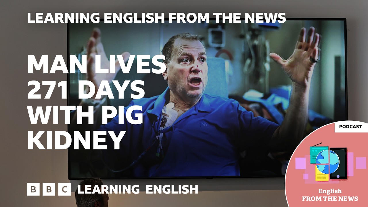 Transplanted pig kidney works inside patient for record nine months | Learning English from the News