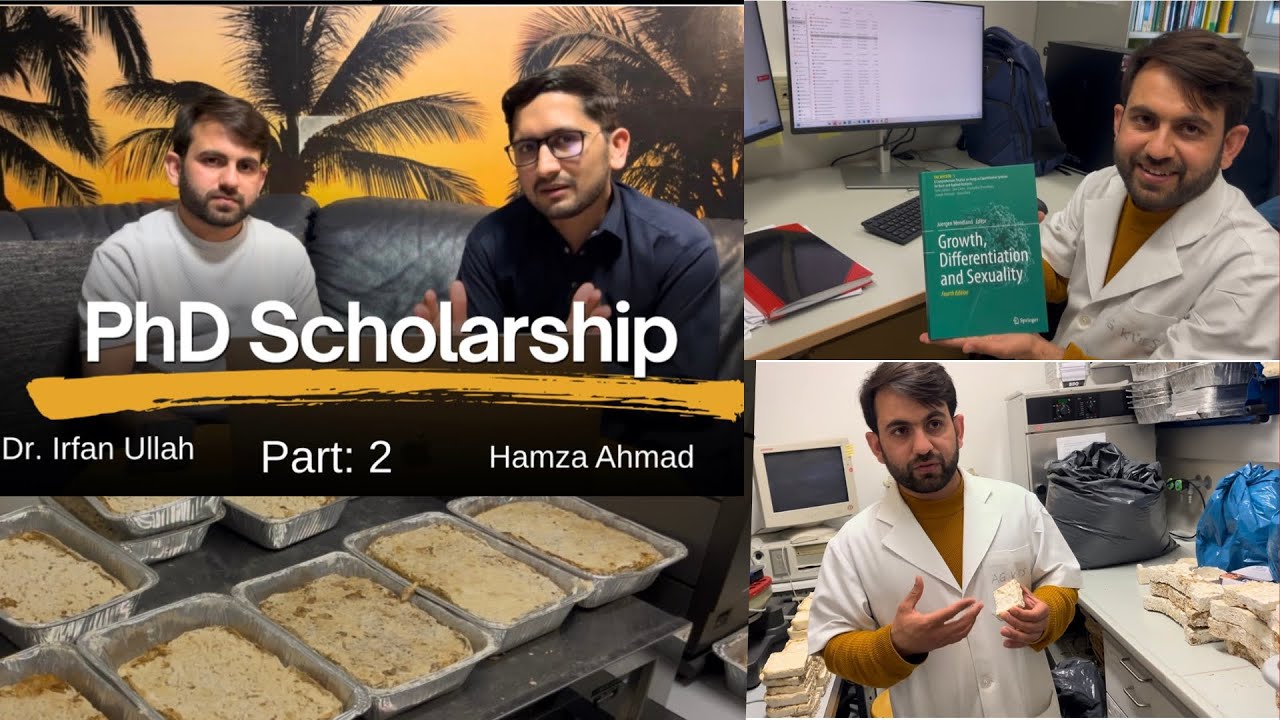 Lab work for phd students in Germany 🇩🇪 
