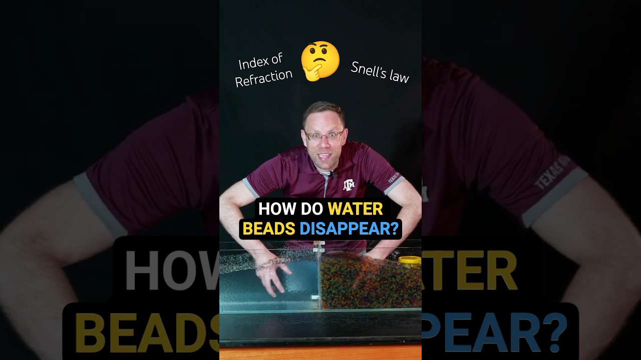 How do water beads disappear?? #shorts #DrDawson #physics