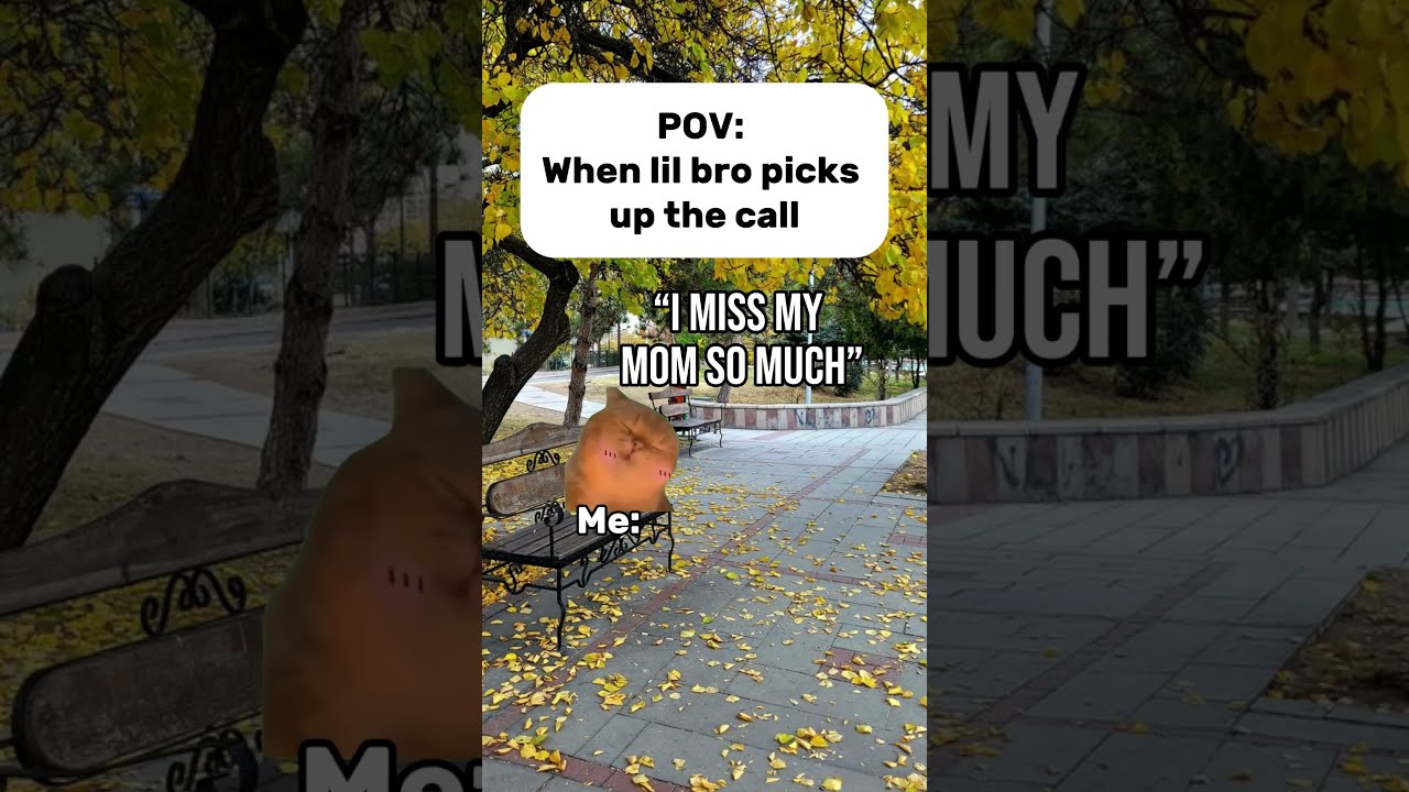 POV: When lil bro picks up the call 😭💀 #shorts #catmemes  #relatable #cat #funny #memes