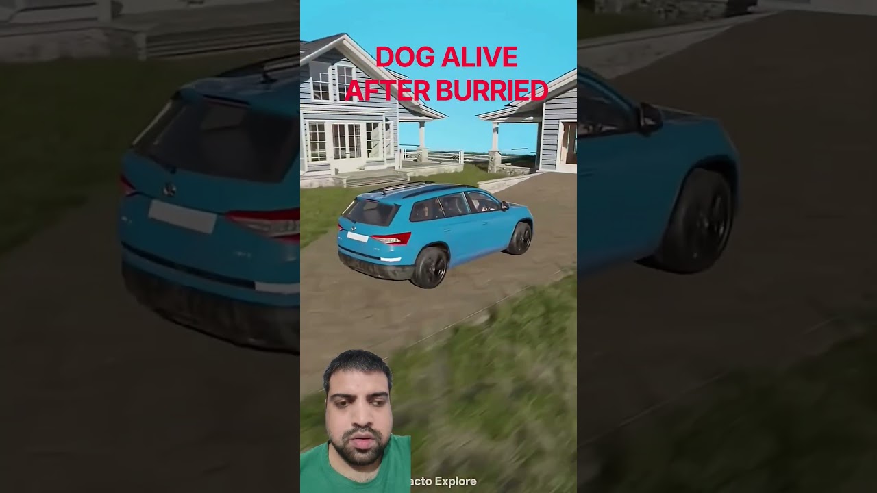 #pets #facts #3danimation #anime #ytshorts #shortsfeed #funny #factsinhindi