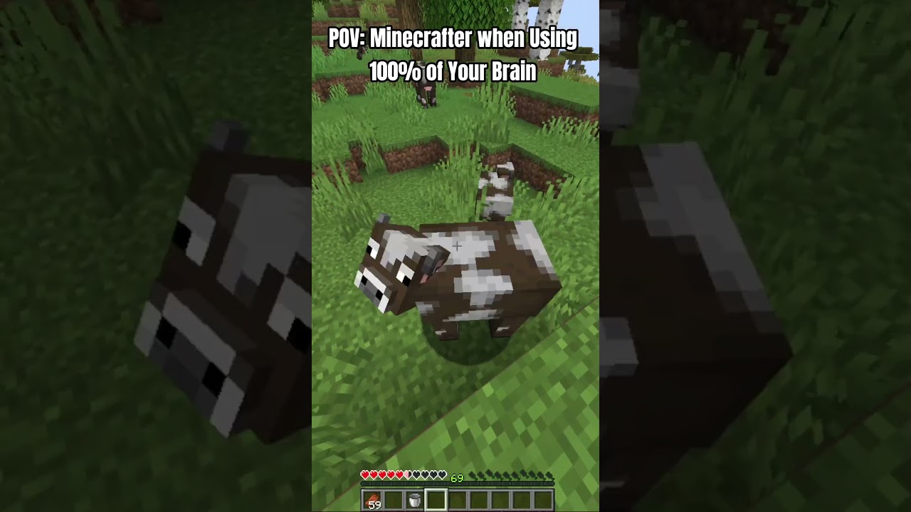 proper Using...  #minecraft #shorts