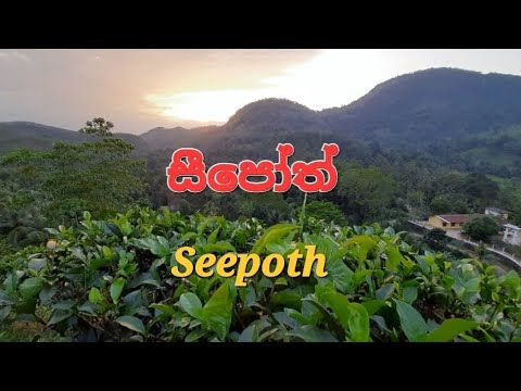 සීපෝත් #Seepoth #යටියන්තොට #sanjay_films Beautiful_Nature 