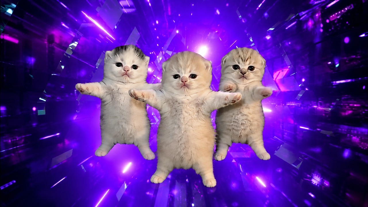 Three Kittens dancing to Bemax - Basin Boret / Pasing Goreng [AMV]