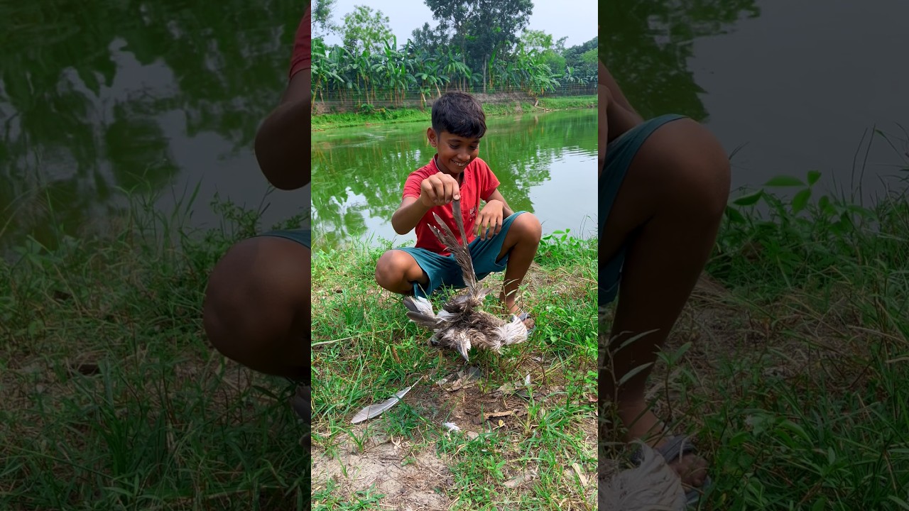 panchi ke kirose hamain mila konsa machli🐟🤔(1281) hook fishing video #hook_fishing