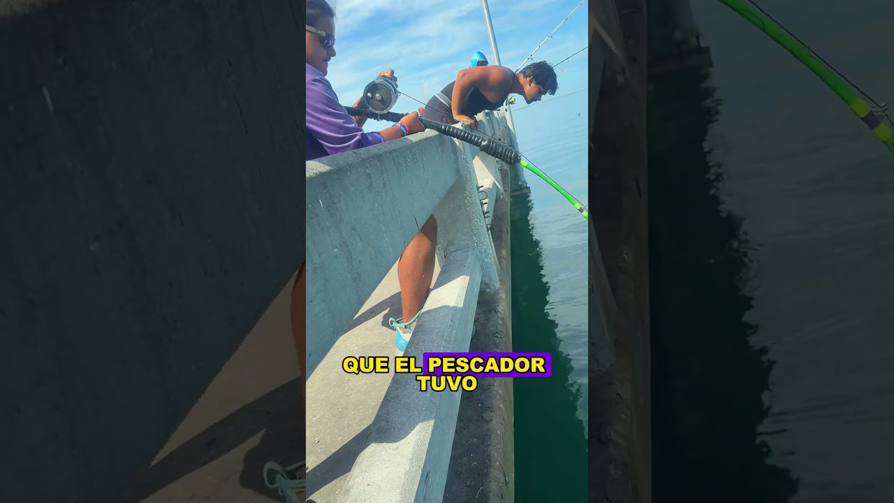 An angler caught a giant grouper from the bridge.#fishing #seafishing #fyp #shorts#US