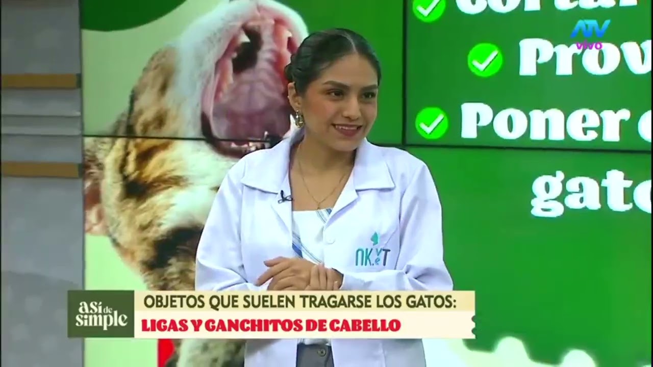 ¿Tu gato se tragó algo raro? No lo dejes pasar 🐱⚠️