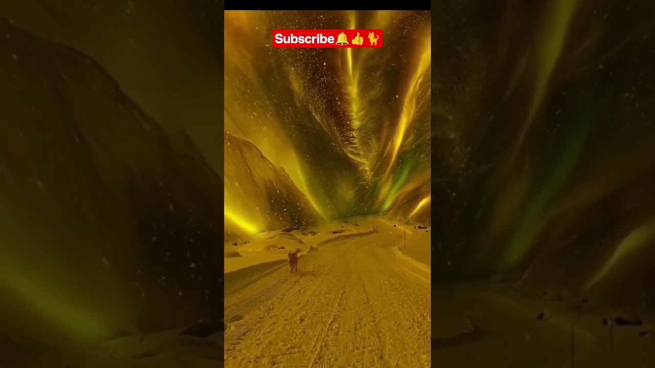 viral shorts. #viralvideo #shorts