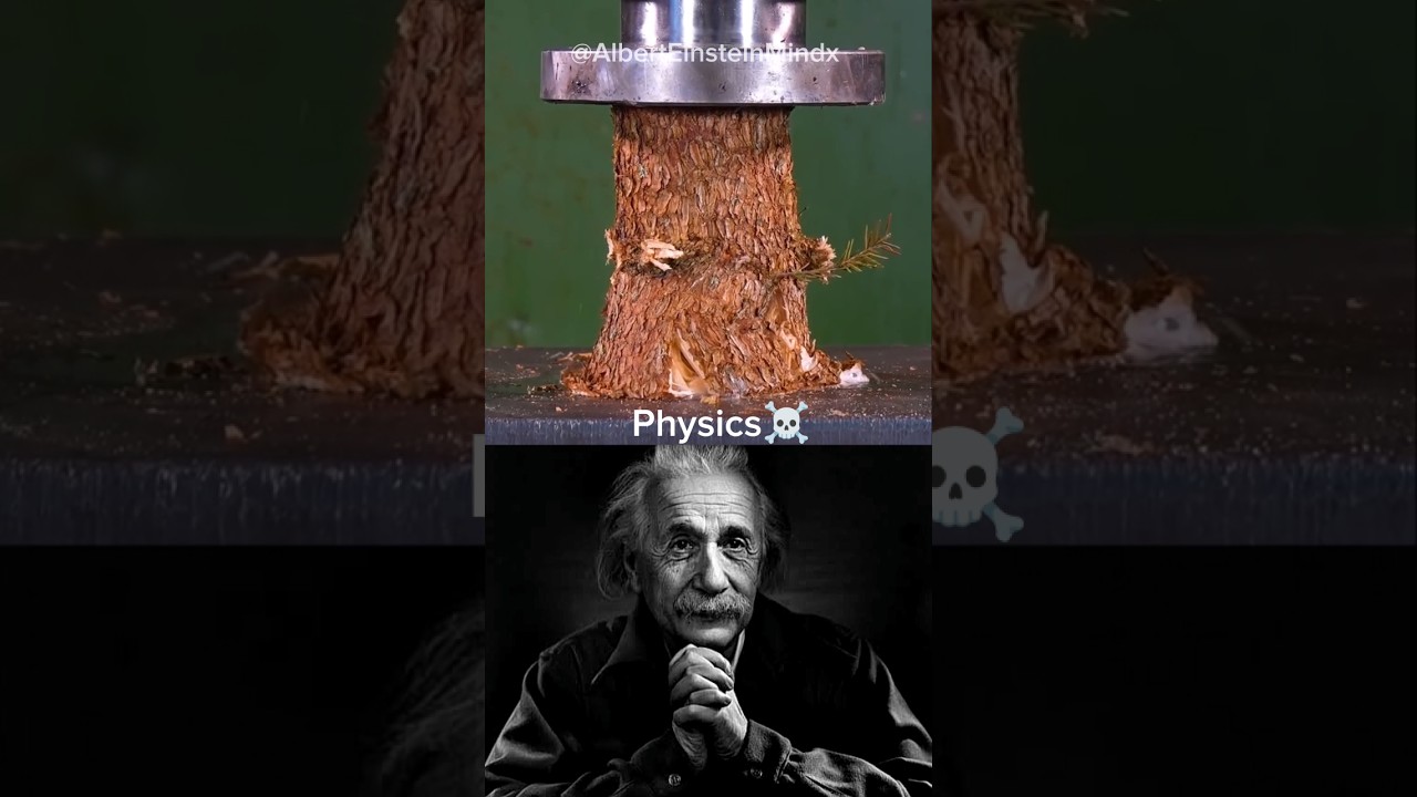 SIGMA PHYSICS TEACHER ☠️🗿#shorts #physics #science #alberteinstein #sigma