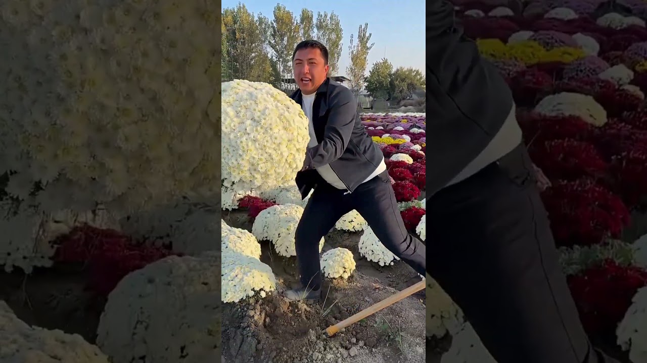 This Chinese Farmer Proved Everyone Wrong!