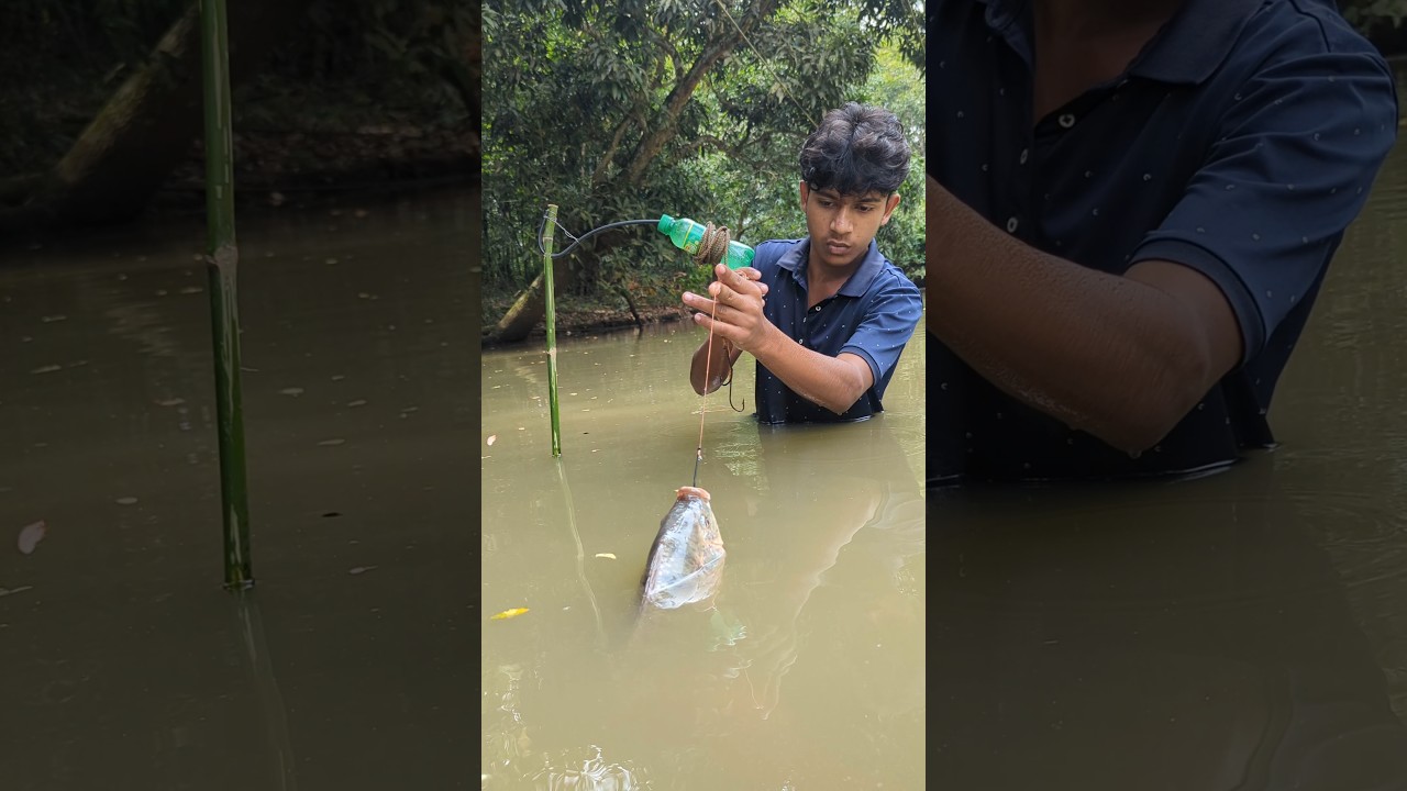 The Unique Trapping Fishing System, with mini fish bait(part)2#fish#shorts