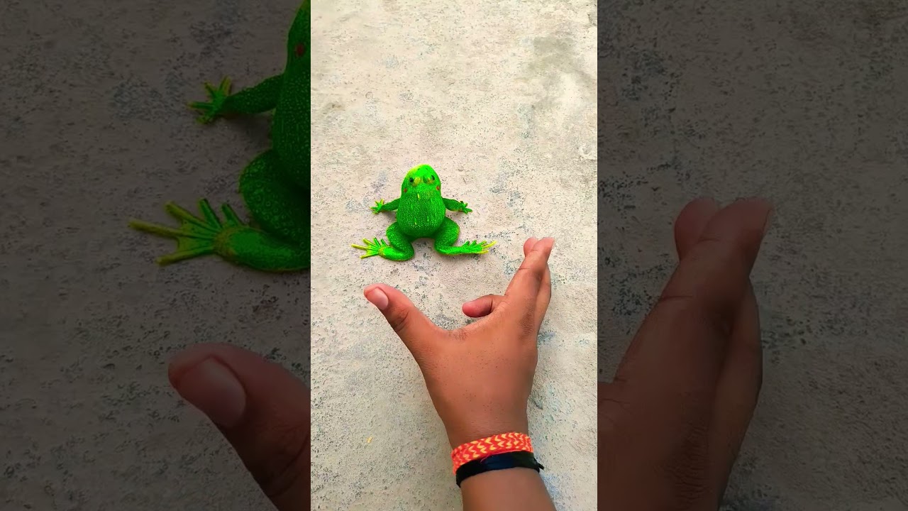 Catch big frogs funny | Try don't laugh | wepwep catching frogs make you laugh 🐸 #shortsviral #frog