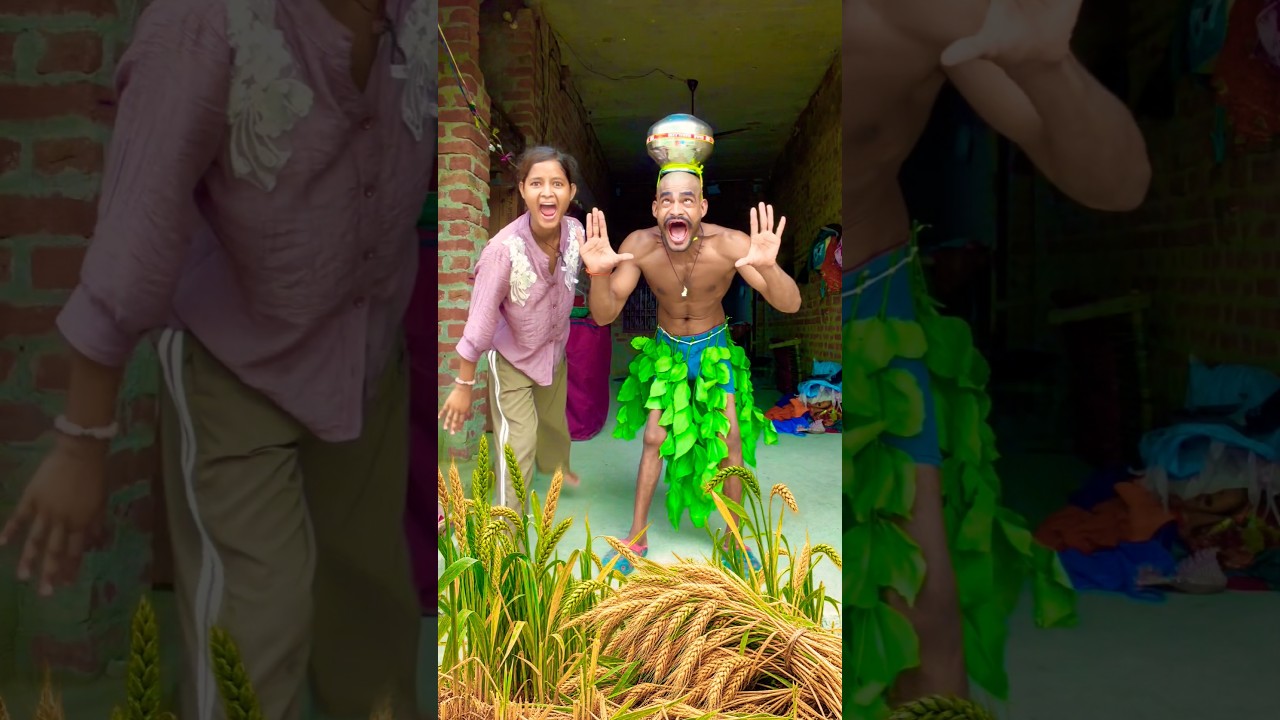 चांदनी रात में शुरू हुई गेहूं की कटाई 🌙😆#funny #shortvideo #subhashkingstar #comedy #viralvideo