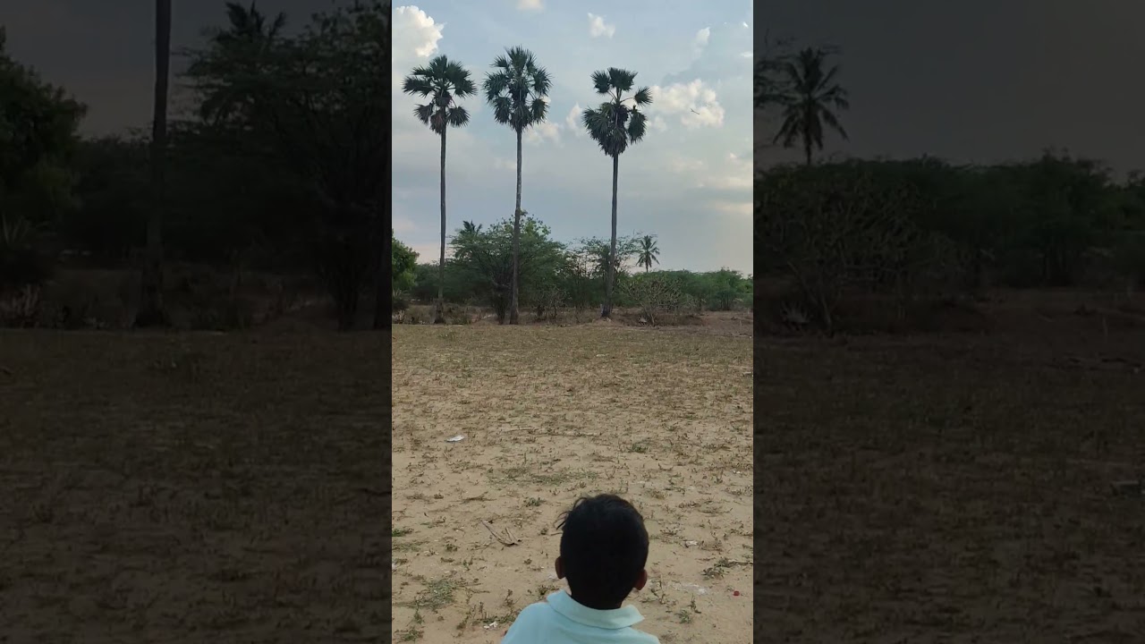 வளரி  #boomerang #martialarts #performance #kids #trending #viral #sports #tiruvallur #games