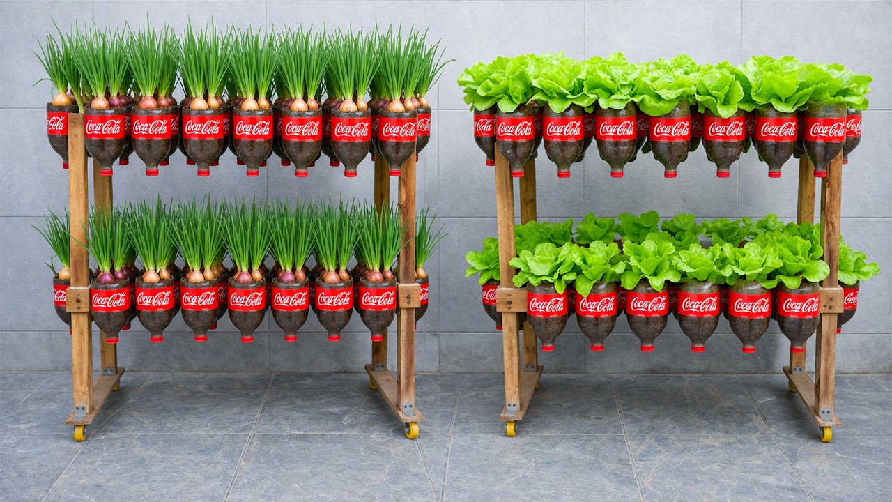 DIY Vertical Garden from Plastic Bottles - Grow Lettuce, Green onions at Home Easily